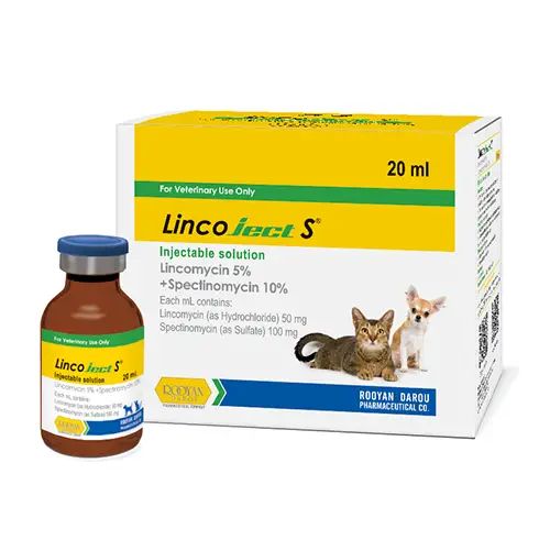 Lincoject-S-pet-copy
